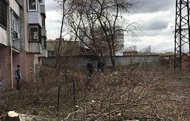 Кронирование деревьев на придомовых территориях