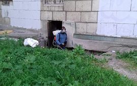 Дезинфекционная обработка против грызунов и насекомых