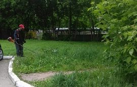 Покос травы на придомовых территориях