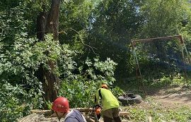 Кронирование и спил деревьев на придомовой территории по адресу ул. Плеханова, 70