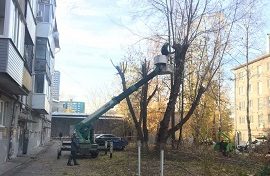 Кронирование деревьев на придомовой территории по адресу ул. Стахановская, 42