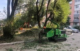 Кронирование деревьев на придомовых территориях