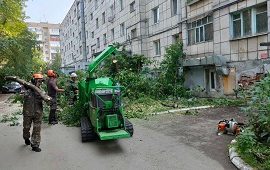 Кронирование деревьев на придомовых территориях