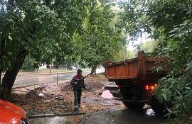 Вывоз древесного мусора с придомовой территории по адресу ул. Плеханова, 70