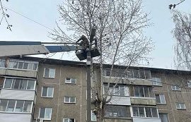 Кронирование деревьев на придомовой территории по адресу ул. Льва Толстого, 33