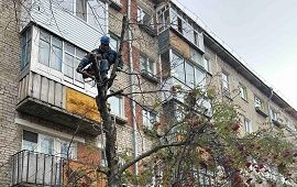 Кронирование деревьев на придомовой территории по адресу ул. Стахановская, 40