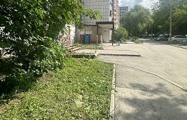 Покос травы на придомовых территориях