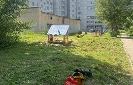 Покос травы на придомовой территории по адресу ул. Льва Толстого, 33